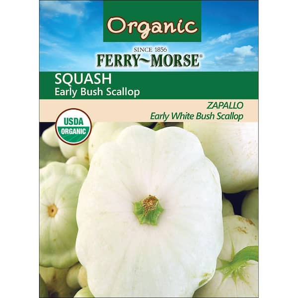 Ferry-Morse Organic Squash Early Bush Scallop Fruit Seed