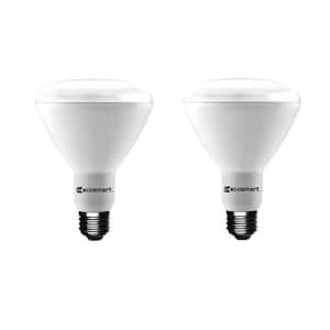 75-Watt Equivalent BR30 Dimmable LED Light Bulb Daylight (2-Pack)