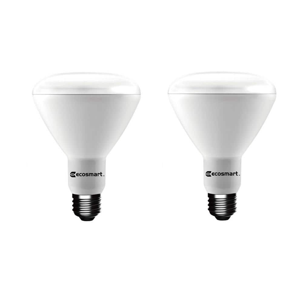 ecosmart 75w daylight