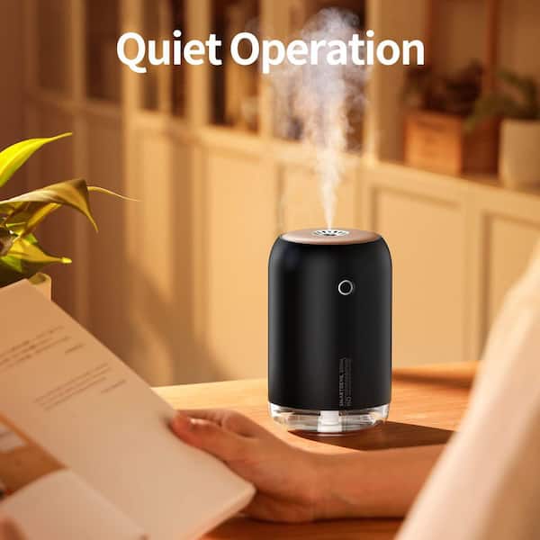 0.13 Gallon Portable Mini Humidifier, USB Personal Cool Mist Humidifier with Night Light, 2 Mist Modes for Desk, Bedroom