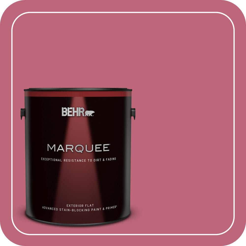 1 gal. #120D-4 Mulberry Flat Exterior Paint & Primer price history on PriceWatchPro