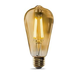 60-Watt Equivalent ST19 Straight Filament Dusk to Dawn Amber Glass E26 Vintage Edison LED Light Bulb, Warm White