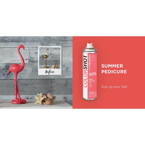 Colorshot 10 Oz Gloss Summer Pedicure Coral General Purpose Aerosol Spray Paint 42642 The Home Depot