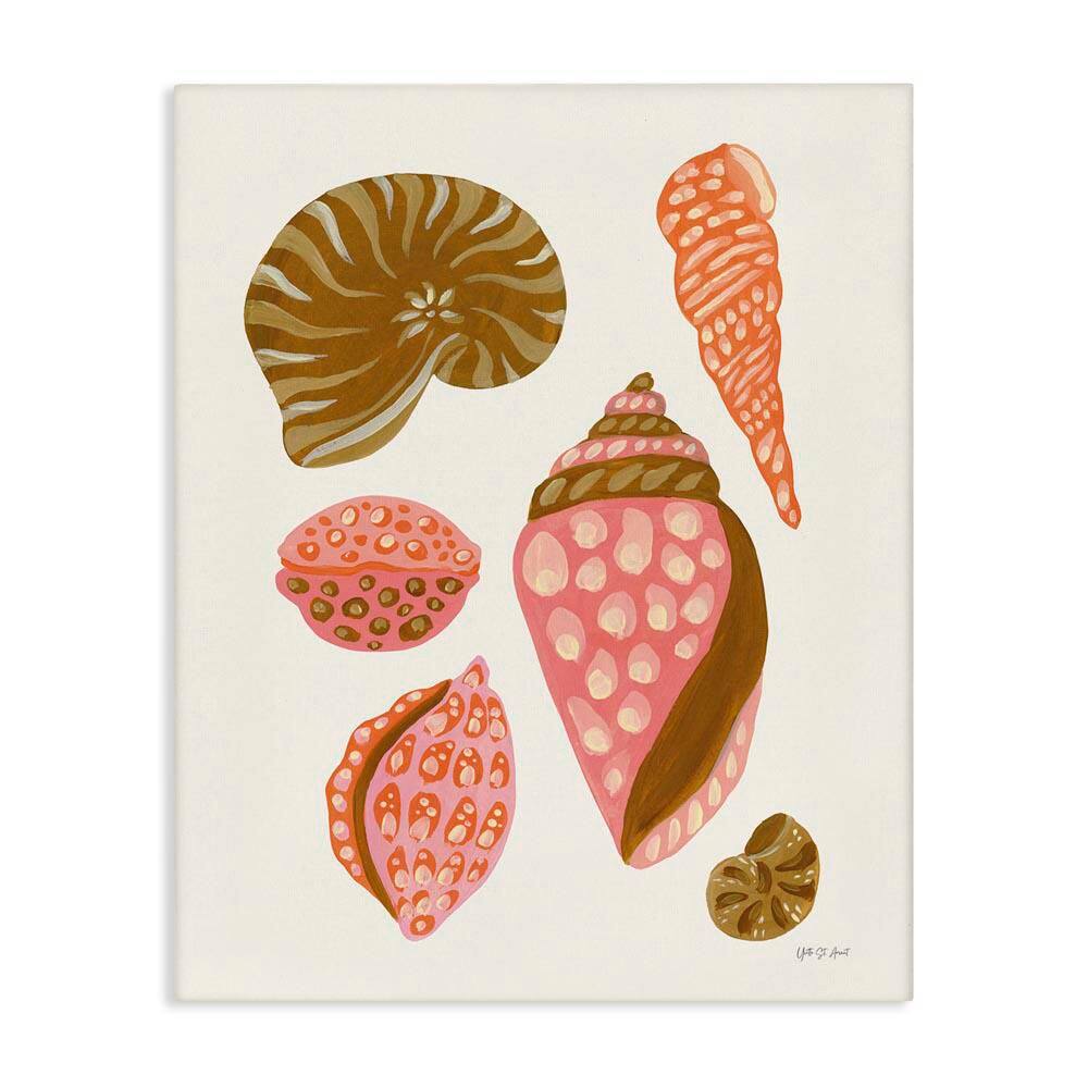 Tropical Shell Collection by Yvette St. Amant Unframed Coastal Graphic Art Print 20 in. x 16 in. price history on PriceWatchPro
