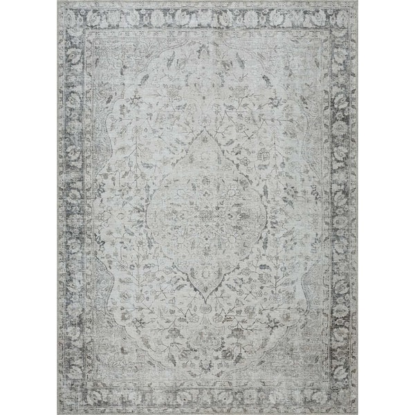 Haile Light Gray/Dark Gray/Neutral 2 ft. x 3 ft. Area Rug