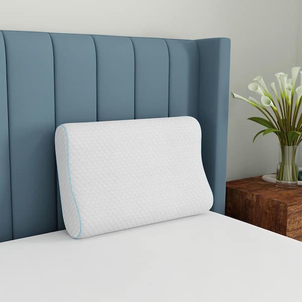 Arsuite Memory Foam Medium Pillow & Reviews