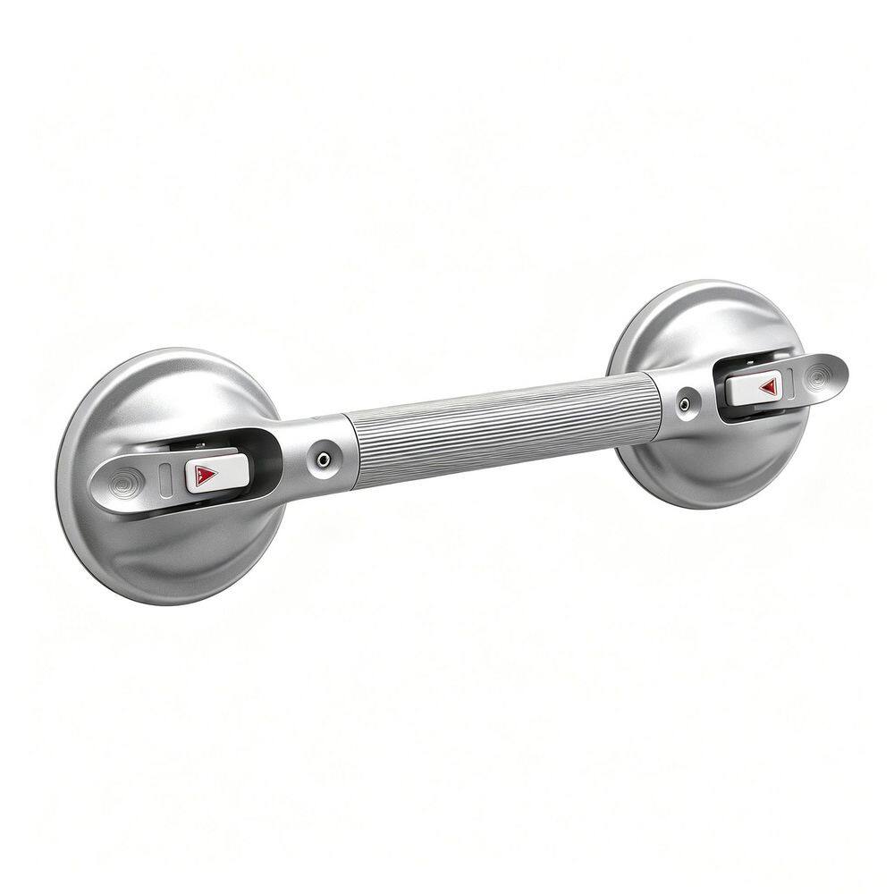 21 in. Concealed Screw Shower Grab Bar in Silver Finish, Heavy Duty Suction Cup Safety Handle, 1 Pack price history on PriceWatchPro