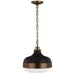 Feiss hotsell P1283DAB/MB Cadence Farmhouse Pendant Lighting (13