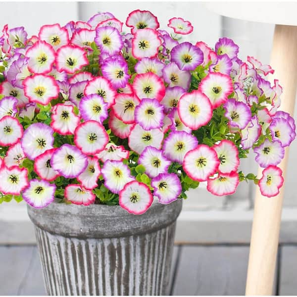 14 in. White Indoor/Outdoor Artificial Morning Glory Flower