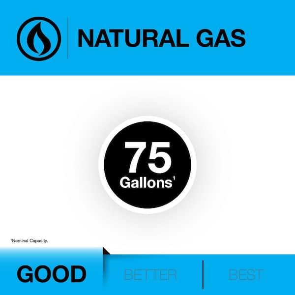 Performance 75 Gal. Tall 76,000 BTU Natural Gas Power Vent Water Heater with 6-Year Warranty