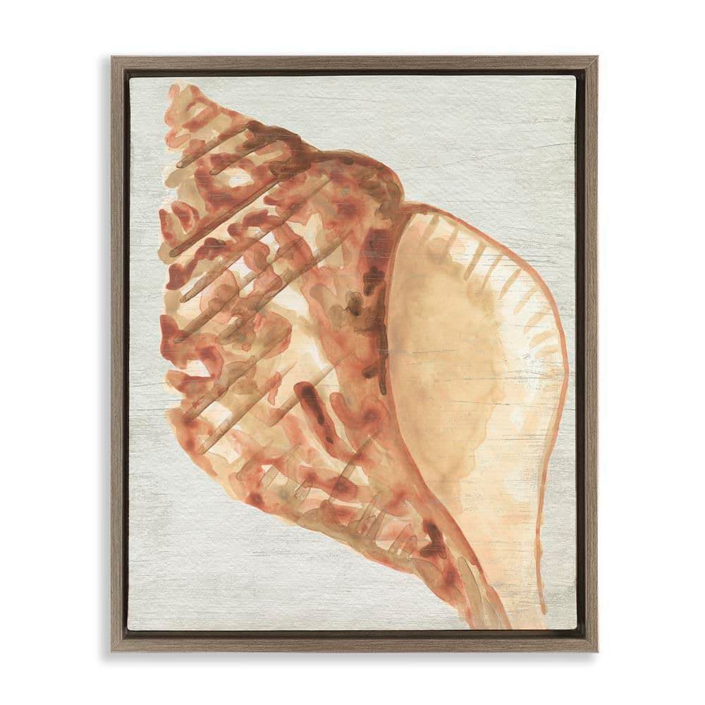 Tan Conch Shell by June Erica Vess Brown Floater Frame Coastal Graphic Art Print 31 in. x 25 in. price history on PriceWatchPro
