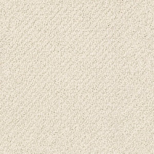 8 in. x 8 in. Pattern Carpet Sample - Dublin - Color Alabaster