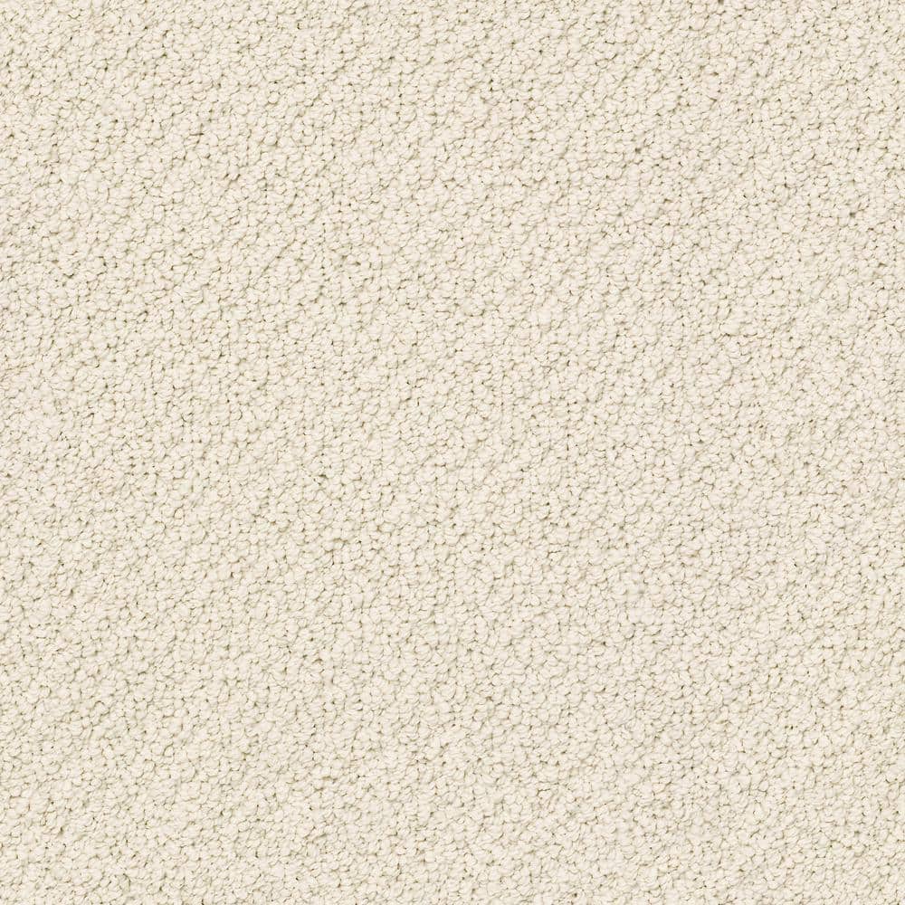 8 in. x 8 in. Loop Carpet Sample - Lightbourne - Color Flaxen price history on PriceWatchPro