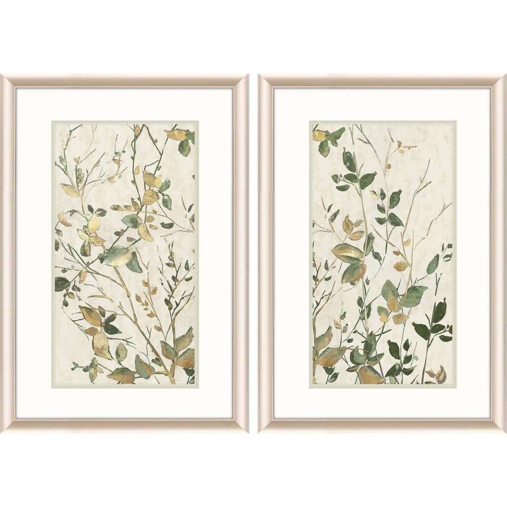 2 Piece Framed Graphic Print Plants & Flowers 32.00 in. x 20.00 in. price history on PriceWatchPro