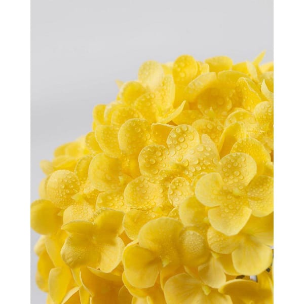 3-Piece 20 in. Yellow Hydrangea Artificial Flowers Latex Real