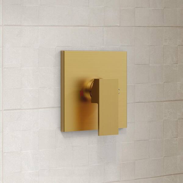 Have a question about GRANDJOY 1-Spray 1-Handle Square Dual Fixed