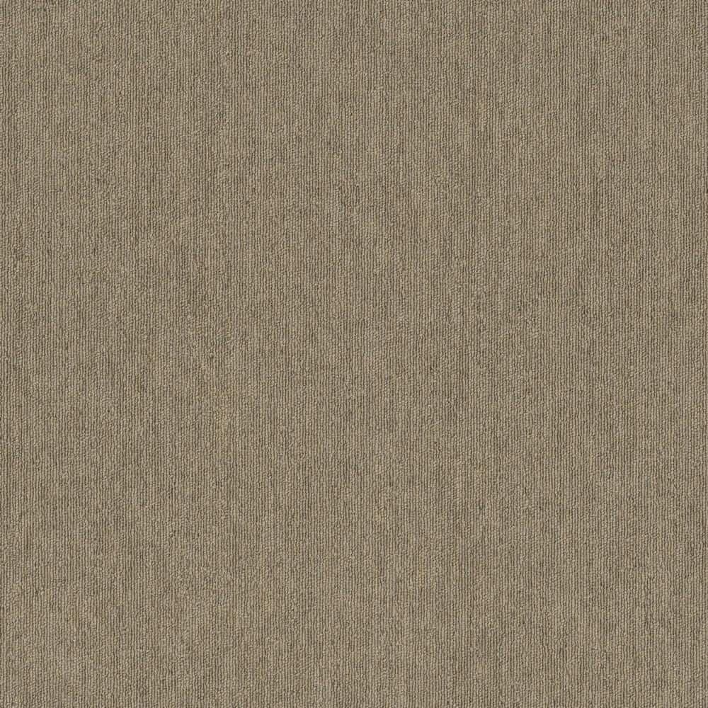 Chase - Backboard - Brown Commercial/Residential 24 x 24 in. Glue-Down Carpet Tile Square (72 sq. ft.) price history on PriceWatchPro