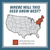 pennington-grass-seed-100543706-e1.1