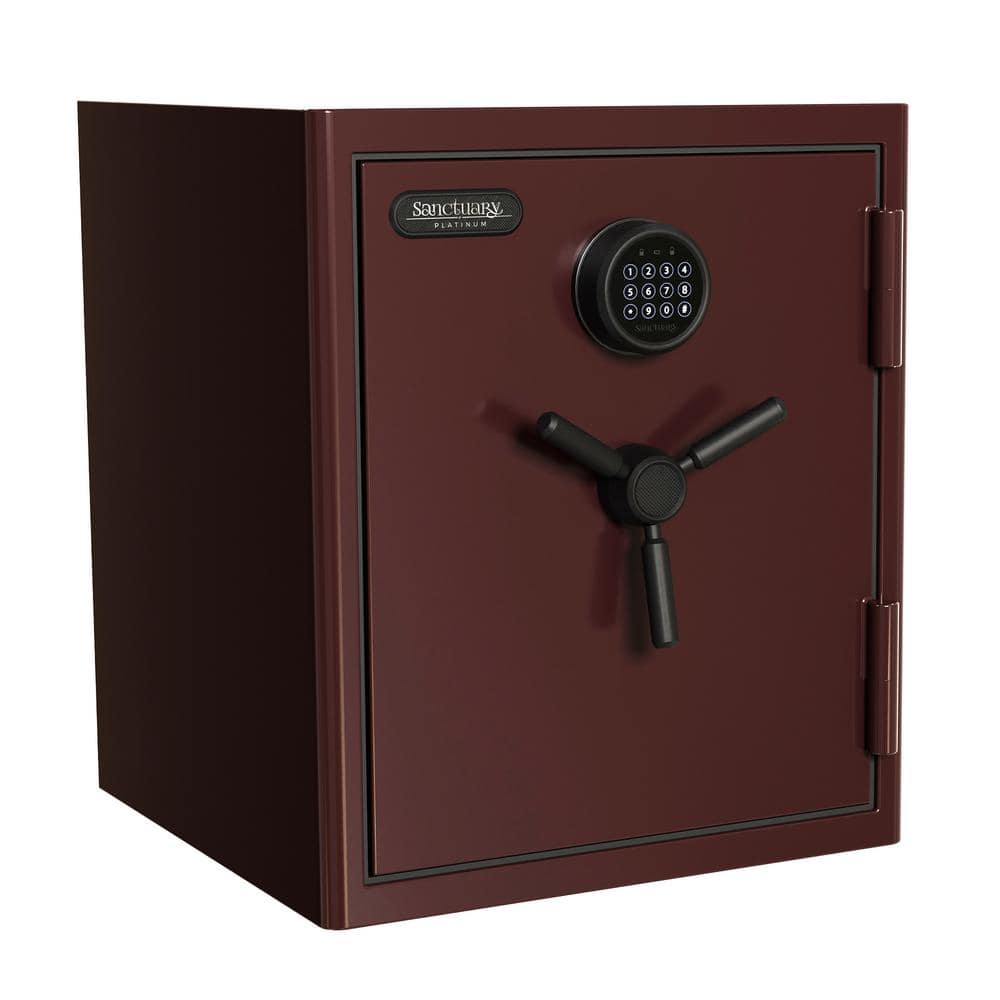 Platinum 3.32 cu. ft. Fire and Waterproof Home and Office Safe, Black Cherr