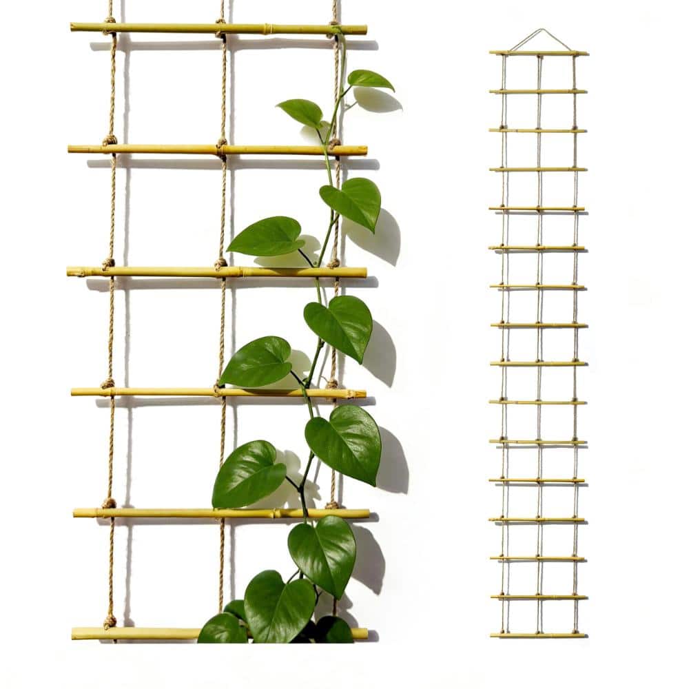 79 in. Bamboo Plant Trellis Wall Support Natural 1-Piece price history on PriceWatchPro