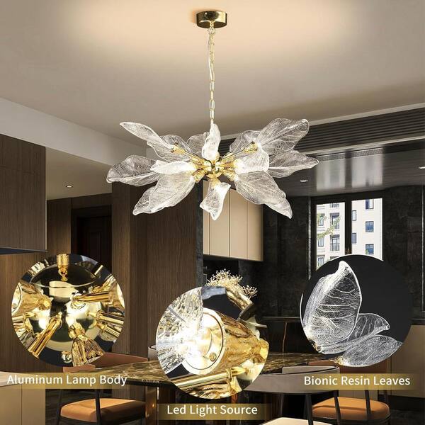 アルカディアGARLAND 5560925-81036976-05282025-