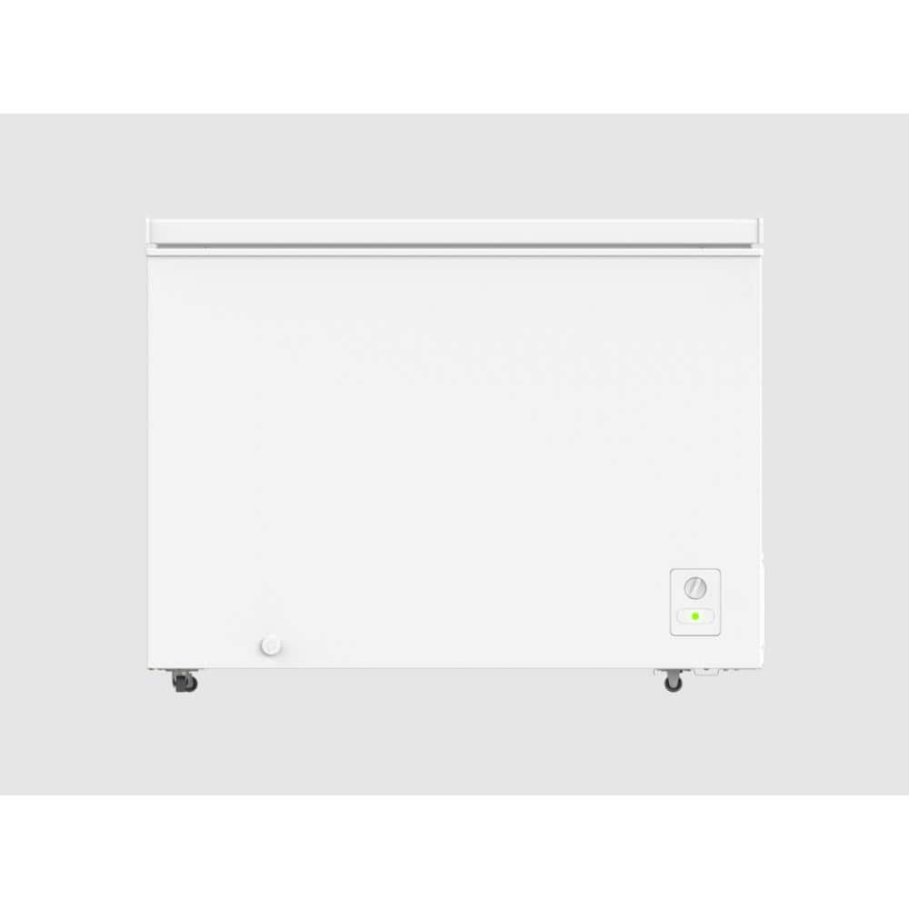 10.0 cu. ft. Chest Freezer
