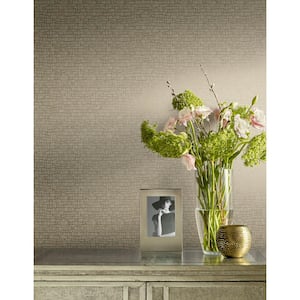 Light Grey Metallic Skin Vinyl Paper Unpasted Wallpaper (21 in. x 33 ft.)