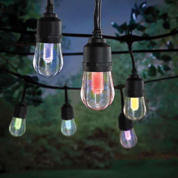 Indoor/Outdoor 12-Light 24 ft. Smart Plug-in Edison Bulb RGBW Color Changing LED String Light Powered by Hubspace