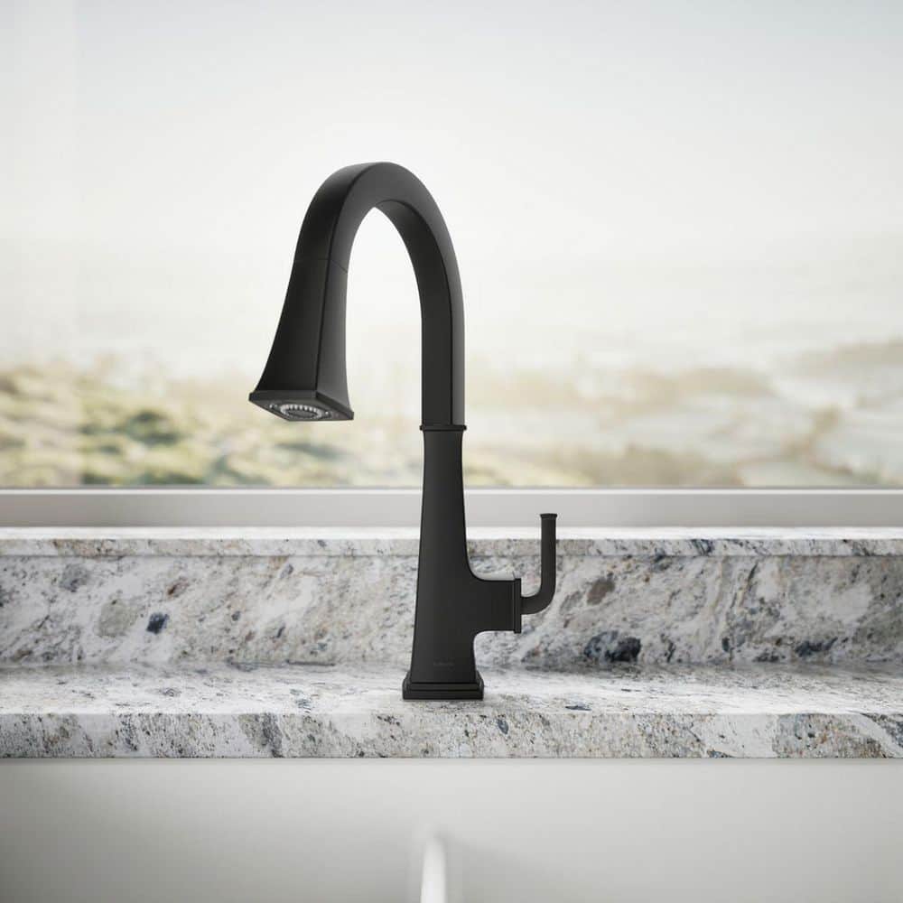 Matte Black Single-Handle Pull-Down Kitchen Faucet with Sprayhead