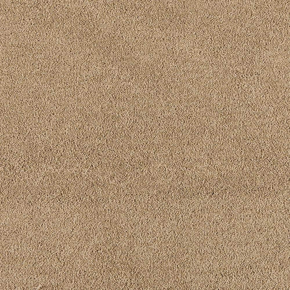 8 in. x 8 in. Texture Carpet Sample - Tailored Trends III -Color Lavish price history on PriceWatchPro