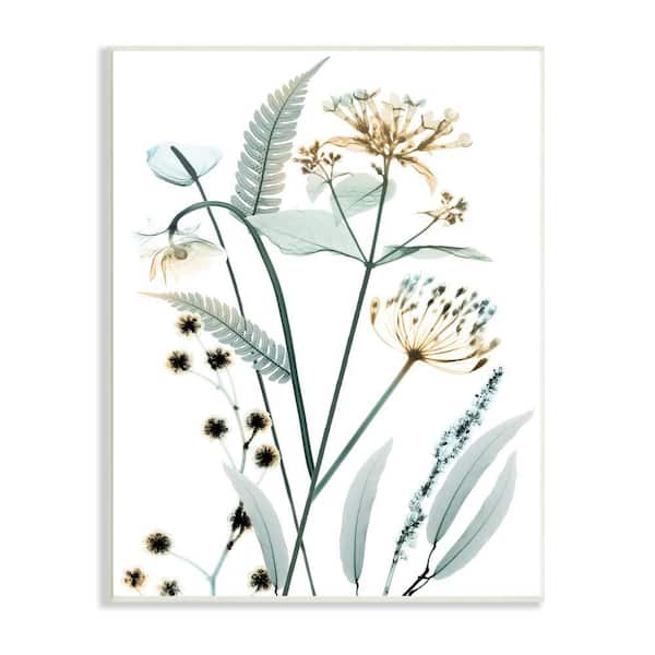 Stupell Industries "Spring Wildflowers Translucent Plant Photography" by Albert Koetsier Unframed Nature Wood Wall Art Print 10 in x 15 in