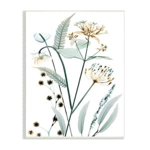 "Spring Wildflowers Translucent Plant Photography" by Albert Koetsier Unframed Nature Wood Wall Art Print 13 in x 19 in