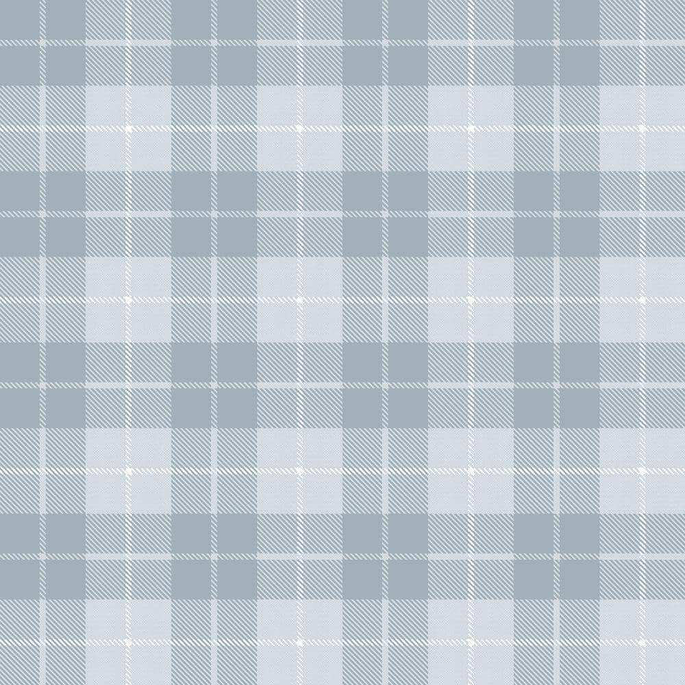 Blue Little Explorers 2 Twilled Tartan Matte Finish Non-Pasted Non-Woven Wa