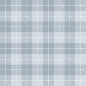 Blue Little Explorers 2 Twilled Tartan Matte Finish Non-Pasted Non-Woven Wallpaper Sample