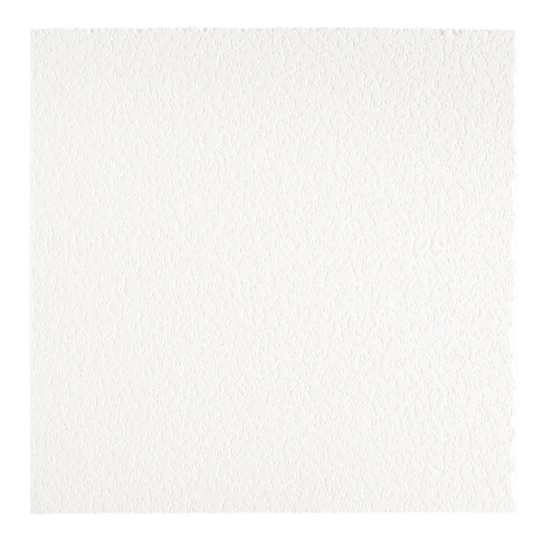 Armstrong Ceilings Easy Elegance White PVC Drop Ceiling Tile Sample