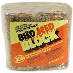 5 lb. Bird Seed Block