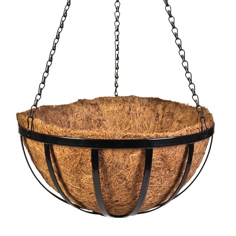 Hanging Baskets Home Depot