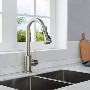 Ruth Single-Handle Pull-Down Sprayer Kitchen Faucet with Dual Function Sprayhead in Brushed Nickel