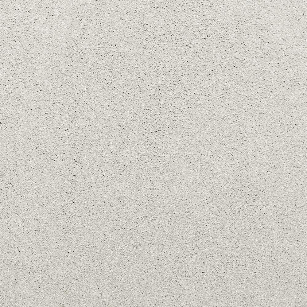 8 in. x 8 in. Texture Carpet Sample - Plush Dreams I -Color Mellow price history on PriceWatchPro