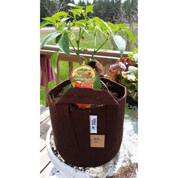 Root Pouch Breathable 10 gal. Forest Green Fabric Boxer Planting Containers and Pots Planter with Handles (5-Pack)