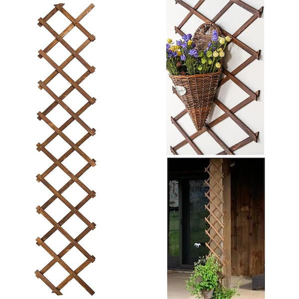 Expandable Wooden Lattice Wall Trellis for Climbing Plants & Air Plants (1 Pack)