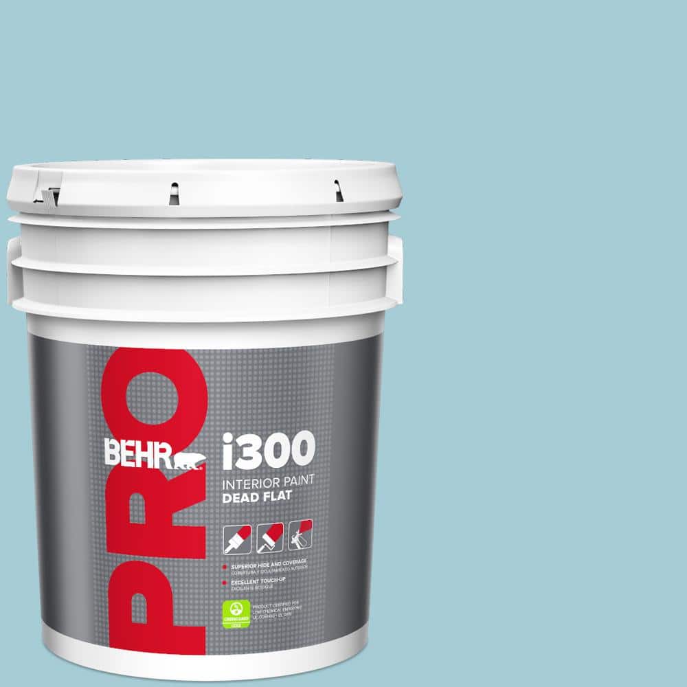 5 gal. #S460-2 Drip Dead Flat Interior Paint price history on PriceWatchPro