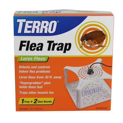 Refillable Flea Trap
