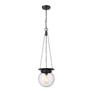 Calhoun 9 in. 1-Light Matte Black Pendant Light with Clear Seedy Glass Shade with No Bulbs included