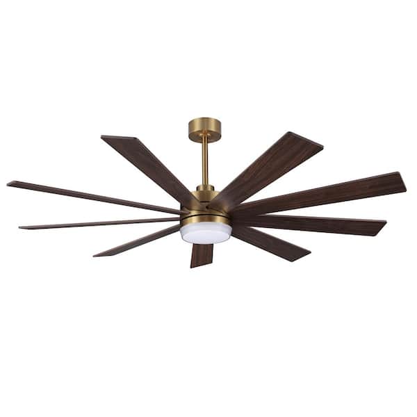 WINGBO 65 in. (5.4 ft. ) LED Indoor Ceiling Fan with LED Light and Remote, Gold