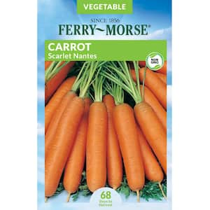 Carrot Scarlet Nantes Heirloom Vegetable Seed