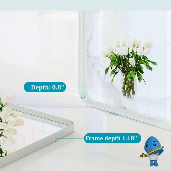 waterpar 60 in. W x 36 in. H Rectangular Aluminum Framed