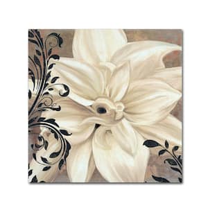 35 in. x 35 in. "Winter White II" by Color Bakery Printed Canvas Wall Art