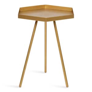 Kashvi 16.50 in. Gold Hexagon Metal End Table