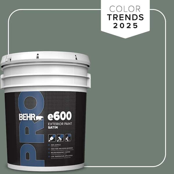5 gal. #N420-5 Boreal Satin Exterior Paint